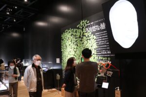 - 3 boyutlu ve kesit alanlı yapı, "ikili karşıtlıkları buluşturan