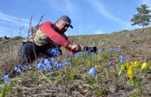 KARS (AA) – Havaların ısınmasıyla yeşillenen Kars'ın Sarıkamış ilçesi, açan