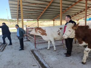 KASTAMONU (AA) – Kastamonu'da 7 ev ile 7 ahırın kullanılamaz