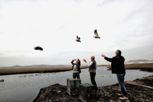 KAYSERİ (AA) – Kayseri'nin Bünyan ilçesinde doğada yakaladığı yaban hayvanlarını