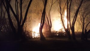 KIRIKKALE (AA) – Kırıkkale'nin Yahşihan ilçesi Kızılırmak kenarındaki sazlık alanda