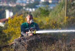 MUĞLA (AA) – Muğla'nın Datça ilçesinde çıkan yangında, yaklaşık 2