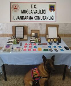 MUĞLA (AA) – Muğla'nın Ortaca ilçesinde, uyuşturucu ticareti yaptığı iddiasıyla