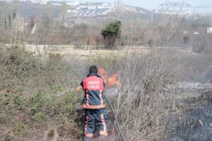 SAKARYA (AA) – Sakarya'nın Arifiye ilçesinde otluk alanda çıkan yangın