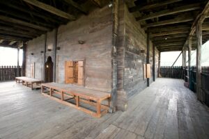 SAMSUN (AA) – MUSTAFA ÇAVUŞ-VEYSEL ALTUN – İl genelinde 121