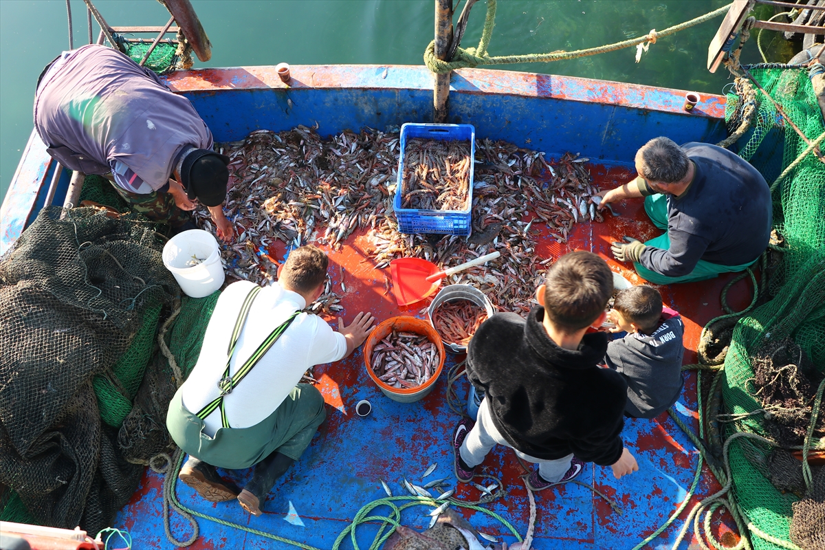 Tekirdağ'daki küçük tekne balıkçıları kıyıya karidesle dönüyor