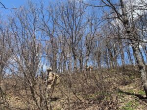 ANKARA (AA) – İçişleri Bakanlığı, Tunceli'de "Eren Abluka-7 Şehit Jandarma