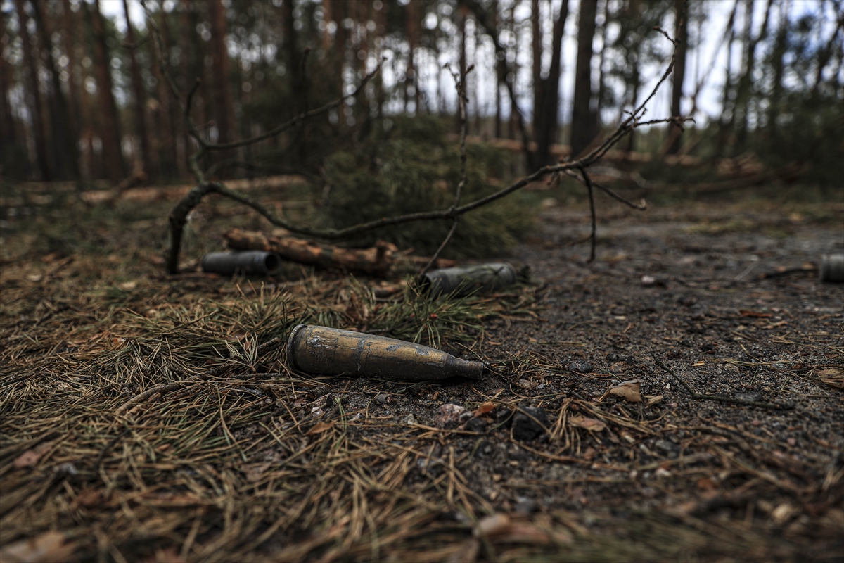 Ukrayna'daki savaşta binalar kadar doğa da ağır çatışmaların izlerini taşıyor