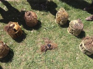 VAN (AA) – Gürpınar ilçesinde bir araçta yapılan aramada 6