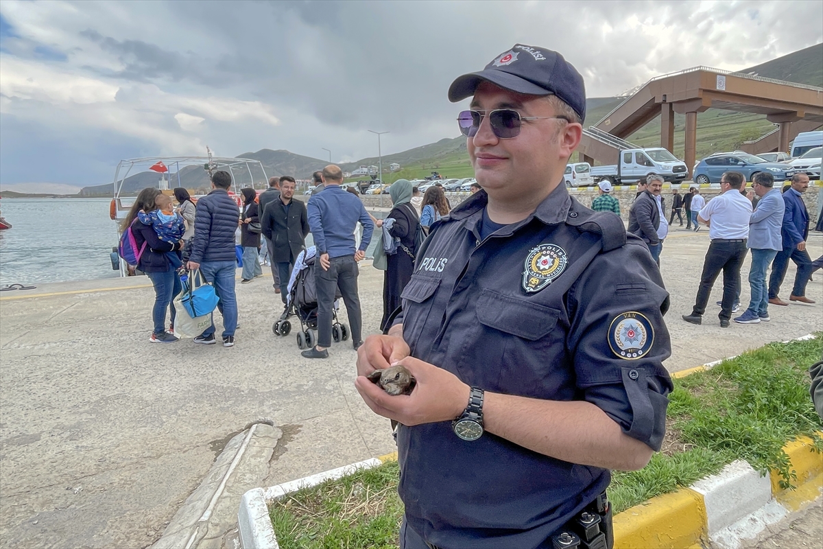 Van'da suda boğulmak üzere olan ebabili polisler kurtardı