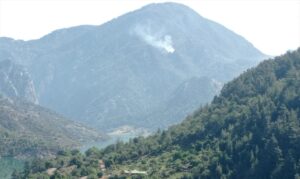 ADANA (AA) – Adana'nın Kozan ilçesinde çıkan orman yangını, havadan