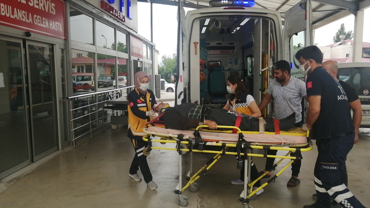 ADANA (AA) – Adana'nın Kozan ilçesinde aniden yola çıkan köpeğe