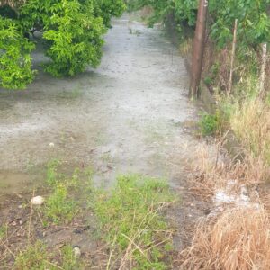 ADANA (AA) – Adana'nın Kozan ilçesinde etkili olan sağanak ve