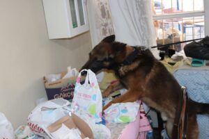 ADANA (AA) – Adana'nın Kozan ilçesinde düzenlenen uyuşturucu operasyonunda 5