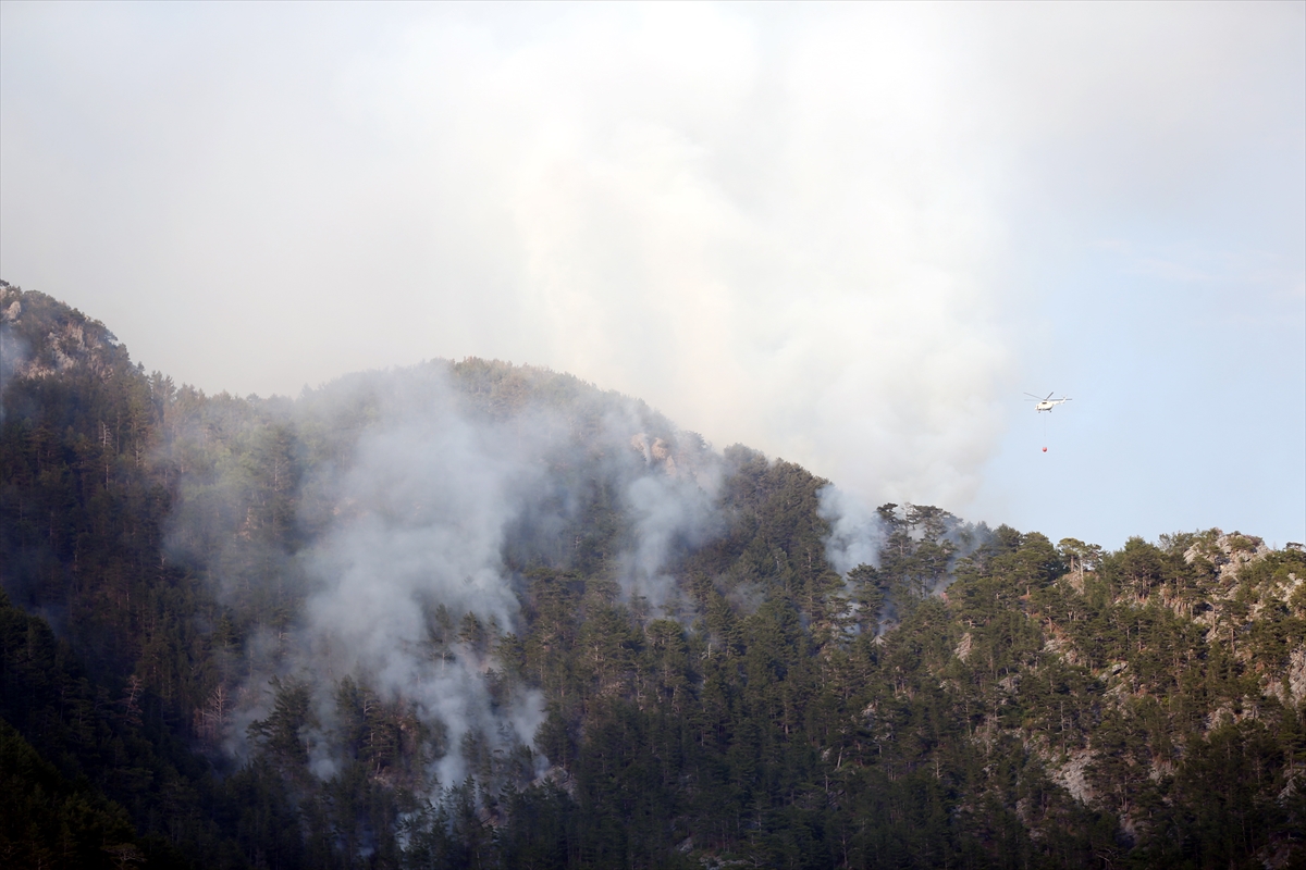 GÜNCELLEME – Alanya'da çıkan orman yangınına müdahale devam ediyor