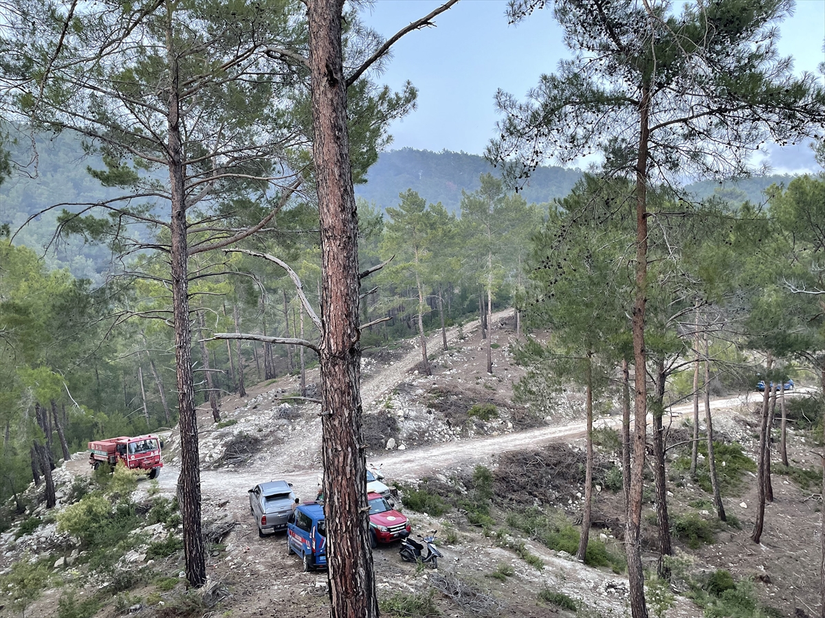 Alanya'da ormanlık alanda çıkan yangın söndürüldü