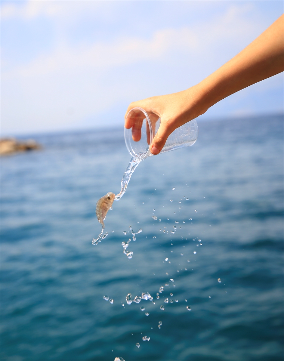 Antalya'da dip temizliğinde soba borusu, sandalye gibi atıklar çıktı