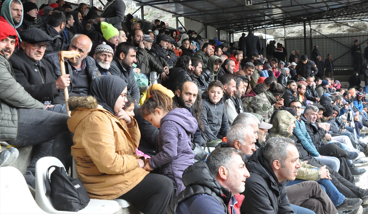 Artvin'de “15. Melo Boğa Güreşleri Festivali” yapıldı