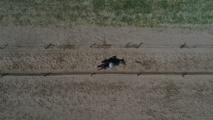 BALIKESİR (AA) – Balıkesir'in Sındırgı ilçesinde belediyenin ev sahipliğinde düzenlenen