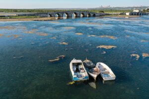 - Yosunların yoğunluğu havadan da görüntülendi