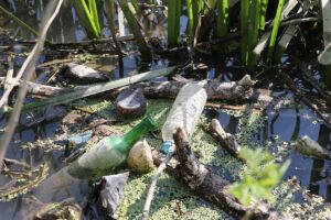 EDİRNE (AA) – Edirne'de, Tunca Nehri'nin debisinin düşmesiyle dipte biriken