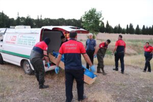 DENİZLİ (AA) – Denizli'nin Pamukkale ilçesindeki Vali Recep Yazıcıoğlu Gökpınar