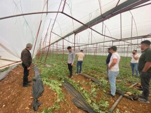 DENİZLİ (AA) – Denizli'nin Acıpayam ilçesinde şiddetli rüzgar nedeniyle bir