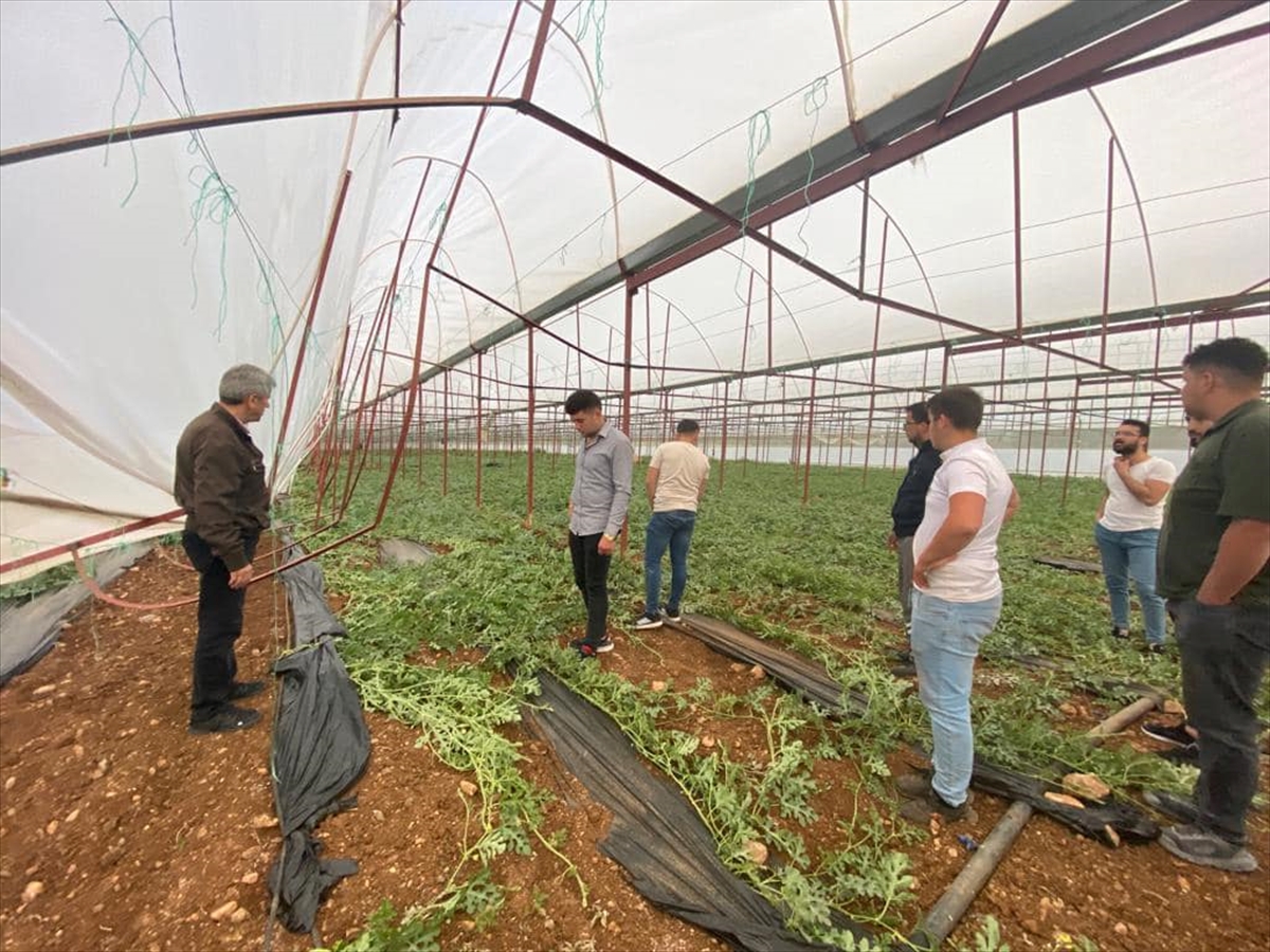 Denizli'de şiddetli rüzgar hayatı olumsuz etkiledi