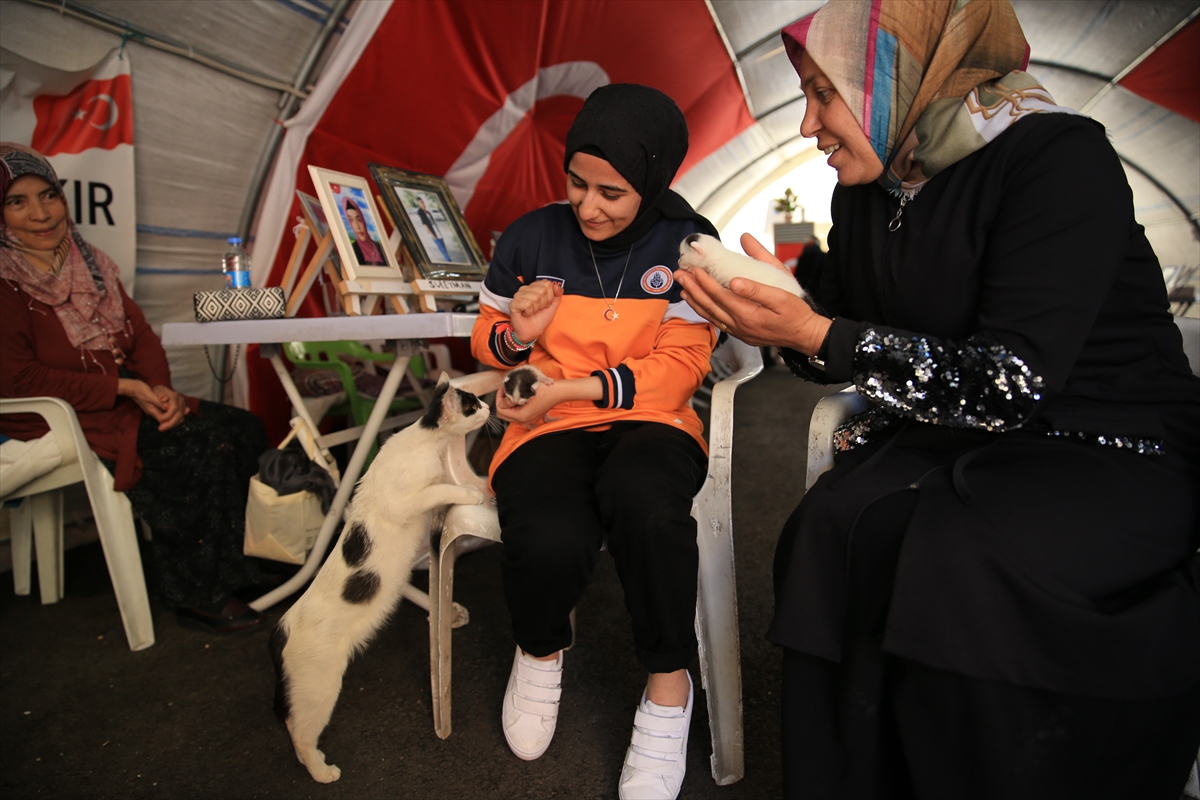 Diyarbakır annelerinin oturma eylemine bir aile daha katıldı