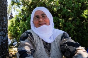 DİYARBAKIR (AA) – Diyarbakır'ın Lice ilçesinde "Diyarbakır Off-Road Festivali" gerçekleştirildi.