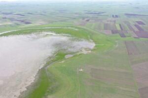 KARS (AA) – Göçmen kuşların yaşam alanlarının korunmasına yönelik farkındalık