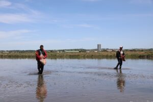 EDİRNE (AA) – Edirne'de çiftçiler çeltik ekimine başladı. Türkiye'deki çeltik