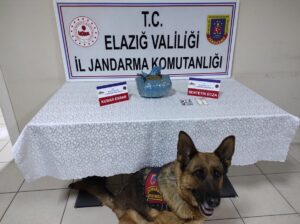 ELAZIĞ (AA) – Elazığ'da yolcu otobüsünde yapılan aramada çantasında 1