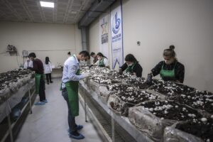 İSTANBUL (AA) – ZEYNEP RAKİPOĞLU – Bağcılar Belediyesi Feyzullah Kıyıklık