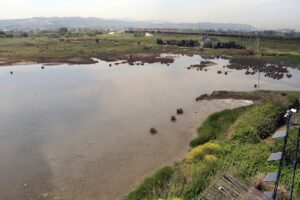 YALOVA (AA) – Türkiye'nin ilk ve tek engelsiz kuş gözlem