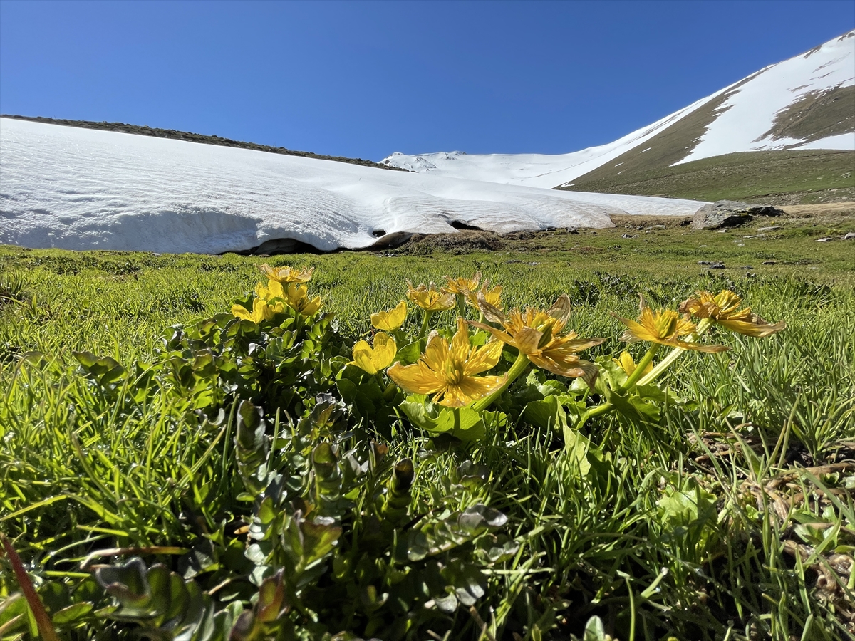 Erzurum dağlarında kar, ovasında bahar renkleri hakim