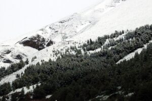 ERZURUM/KARS (AA) – Erzurum ve Kars'ın yüksek kesimlerinde kar etkili