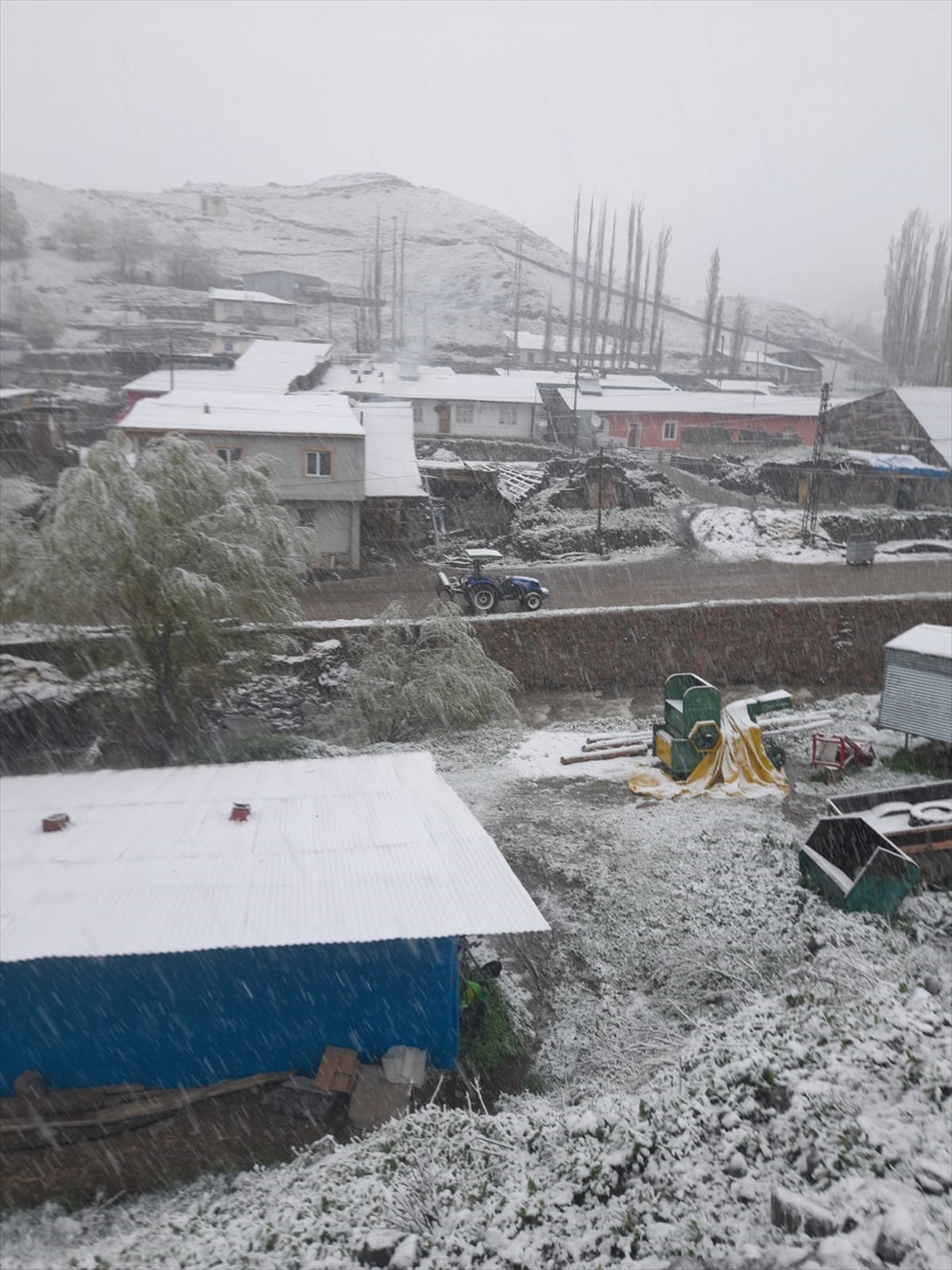 Erzurum'da 3 bin rakımlı mahalle mayısta yağan karla beyaza büründü