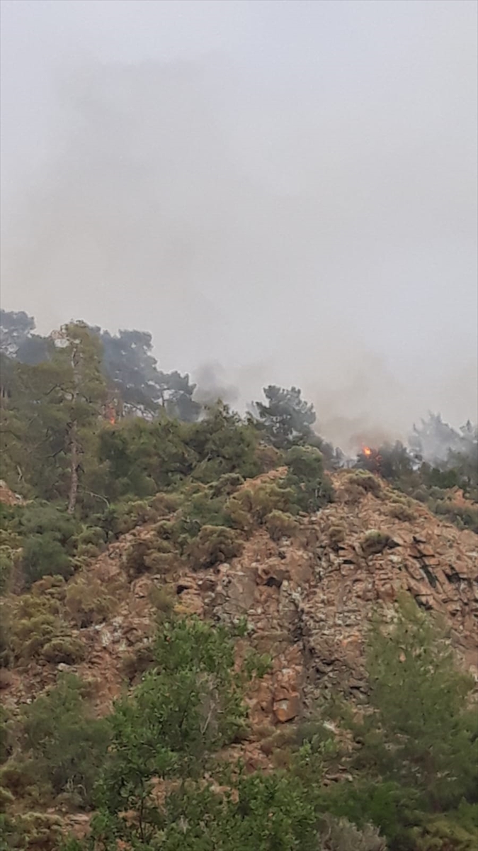 Fethiye'de yıldırım düşmesi sonucu ormanlık alanda yangın çıktı