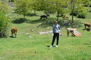 AFYONKARAHİSAR (AA) – ARİF YAVUZ – Afyonkarahisar'ın Sinanpaşa ilçesine bağlı