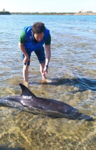 GİRESUN (AA) – Giresun'un Bulancak ilçesinde kıyıya vuran yunus öldü.