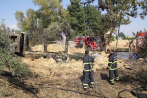 - Kamyondan buğday tarlasına sıçrayan yangını itfaiye söndürdü