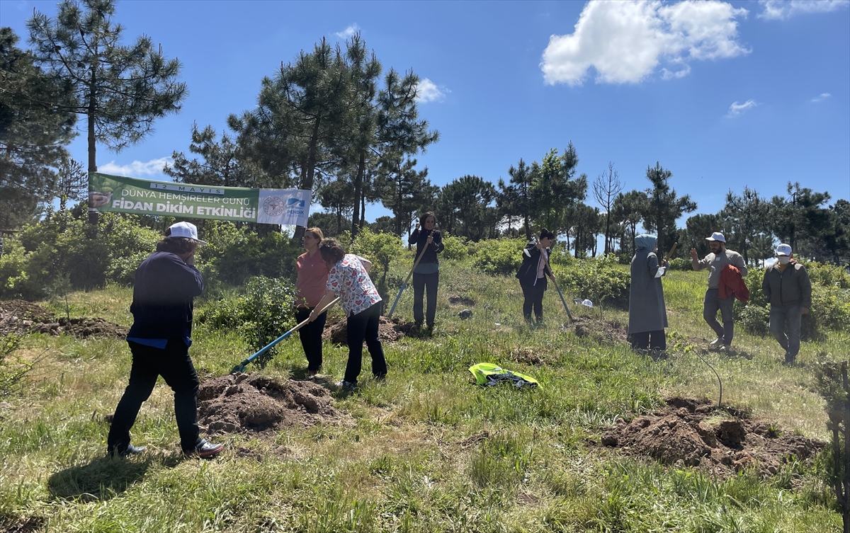 Hemşireler Pendik'te hatıra ormanı oluşturdu