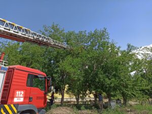 IĞDIR (AA) – Iğdır'da yuvasından düşen saksağan yavrusu, itfaiye ekiplerince