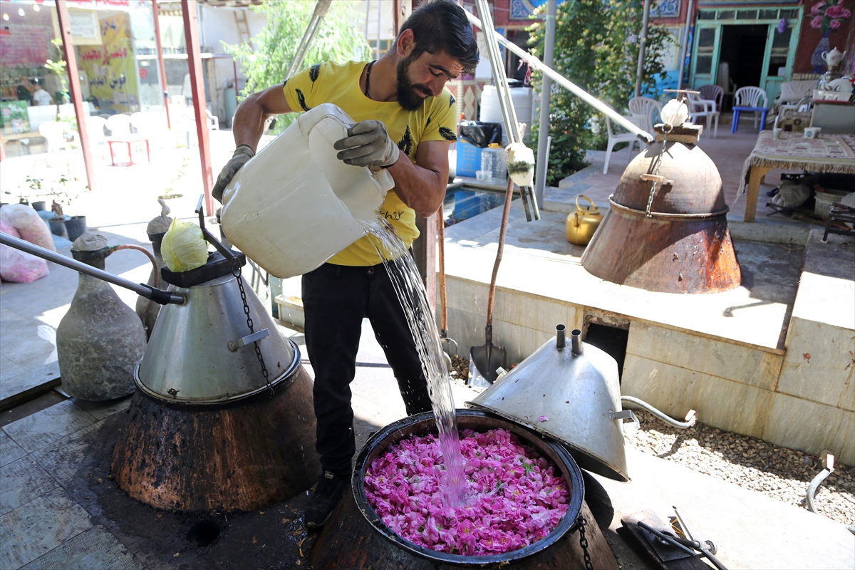 İran'ın “gül ve gül suyu başkenti” Kemser'de geleneksel yöntemle üretim sürüyor
