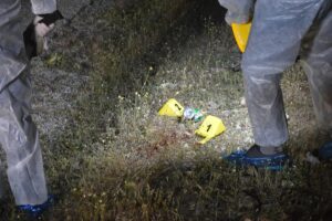 İZMİR (AA) – İzmir'in Kemalpaşa ilçesinde ormanlık alanda çıkan silahlı