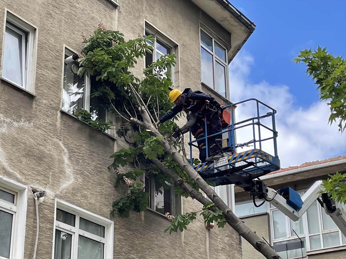 Kadıköy'de fırtınada gövdesi kırılarak binaya yaslanan ağaç kaldırıldı