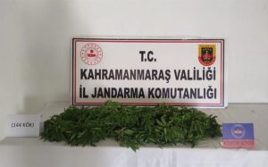 KAHRAMANMARAŞ (AA) – Kahramanmaraş'ın Elbistan ilçesinde düzenlenen uyuşturucu operasyonunda bir