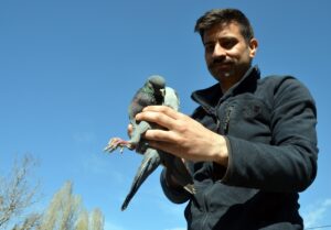 - Kaçak avcılara göz açtırmayan ekipler, yaralı bulunan yabani hayvanları