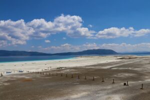 - "Su gözeleriyle polenlerin buluşması sonucu sarı bir görüntü oluşuyor.